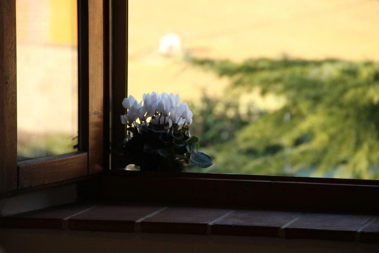 Agriturismo Podere Campinovi Villa Colle Val D'Elsa Esterno foto